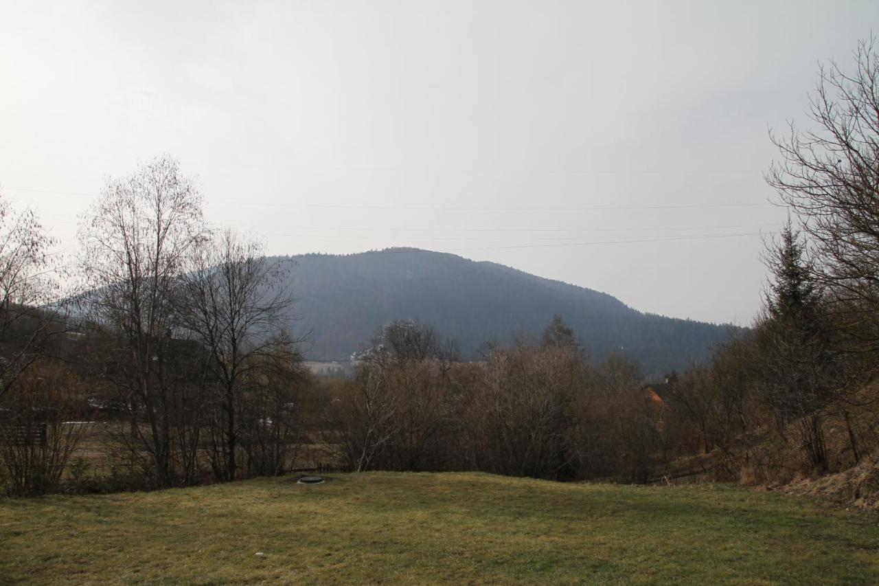 Купецький Двір Otel Mizhhirya  Dış mekan fotoğraf