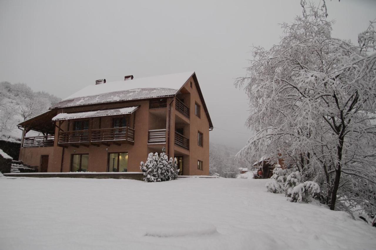 Купецький Двір Otel Mizhhirya  Dış mekan fotoğraf