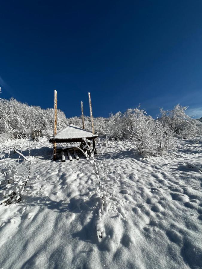 Купецький Двір Otel Mizhhirya  Dış mekan fotoğraf