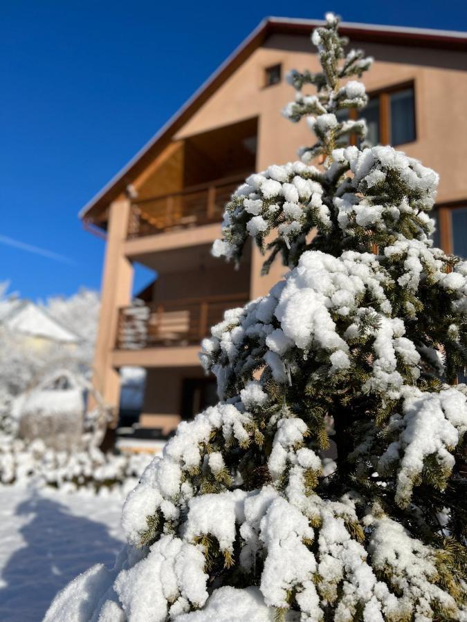 Купецький Двір Otel Mizhhirya  Dış mekan fotoğraf